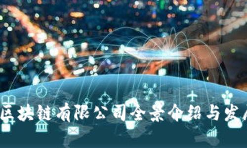 深圳区块链有限公司全景介绍与发展趋势